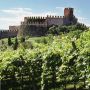 Veneto: Crescono esportazioni vitivinicole